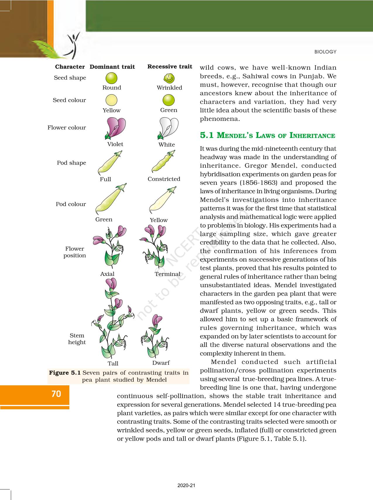 Principles Of Inheritance And Variation NCERT Book Of Class 12 Biology